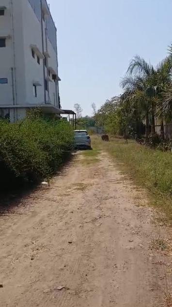  60000 Sq.ft. Factory for Sale in Halol, Vadodara