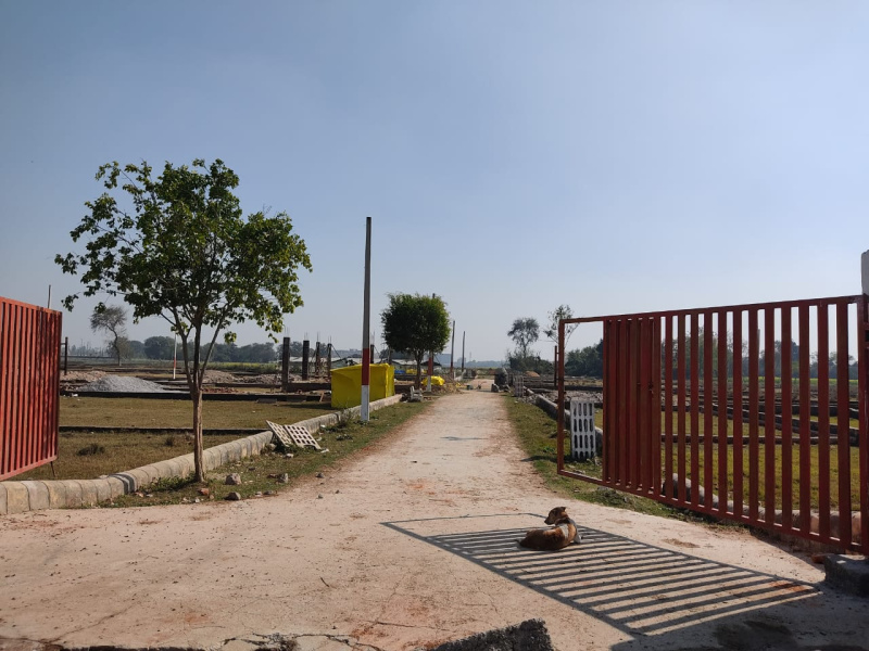  Residential Plot 1000 Sq.ft. for Sale in Kisan Path, Lucknow