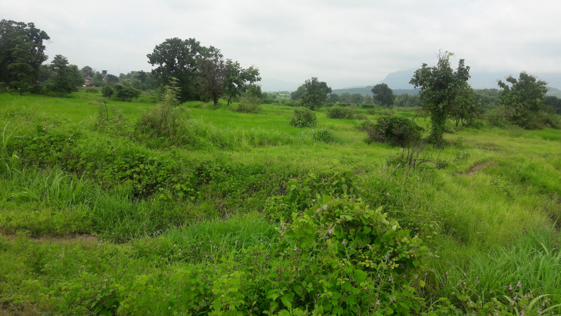 Agricultural Land 5 Ares for Sale in Mangaon, Raigad