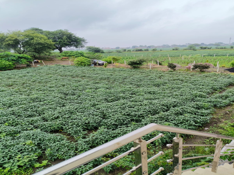 2 BHK Farm House 2100 Sq.ft. for Sale in Dewas Bypass Road