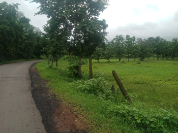  Agricultural Land for Sale in Karjat, Mumbai