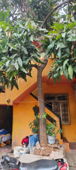 2 BHK House for Sale in KTJ Nagar, Davanagere