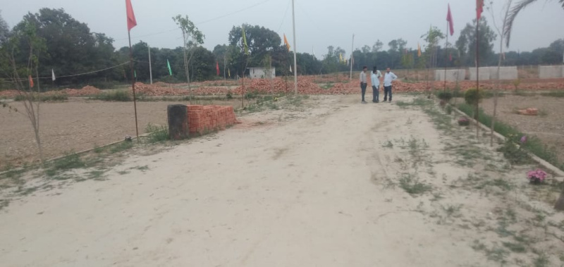  Residential Plot 1000 Sq.ft. for Sale in Sultanpur Road, Lucknow