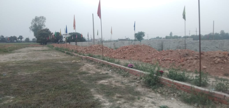  Residential Plot 1000 Sq.ft. for Sale in Sultanpur Road, Lucknow
