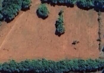  Industrial Land for Rent in Tenkasi, Tirunelveli