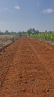  Agricultural Land for Sale in Varuna, Mysore