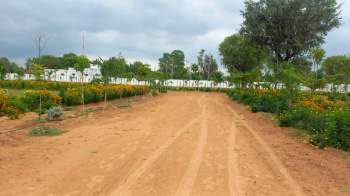  Agricultural Land for Sale in Kherli, Alwar