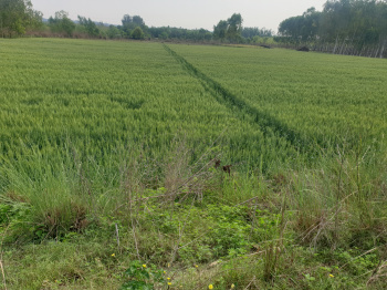  Industrial Land for Sale in Baghpur, Hoshiarpur