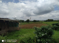 Agricultural Land for Sale in Niphad, Nashik