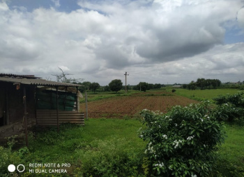  Agricultural Land for Sale in Niphad, Nashik