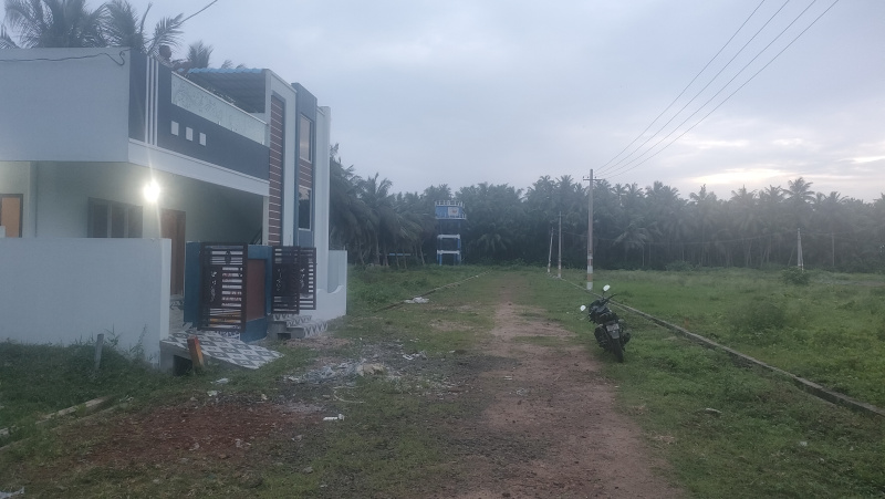 2 BHK House 168 Sq. Yards for Sale in Kotananduru, East Godavari