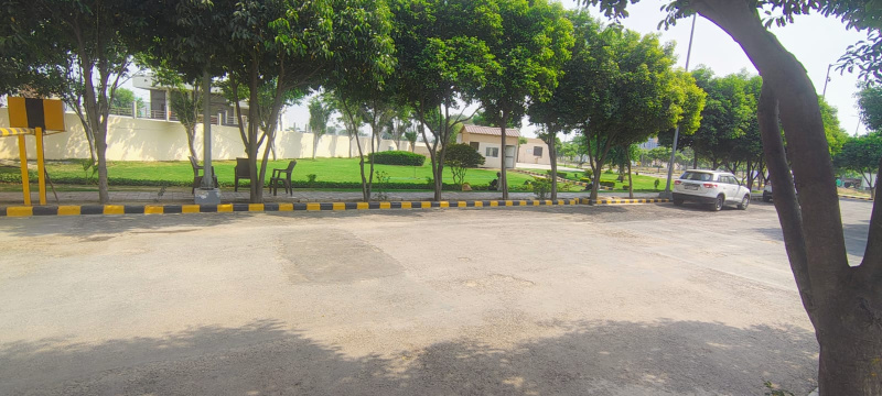  Residential Plot 300 Sq. Yards for Sale in Sector 23 Dharuhera