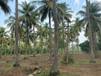  Agricultural Land for Sale in Marakkanam, Villupuram