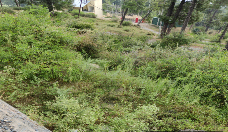 Commercial Land 3000 Sq.ft. for Sale in Kud, Udhampur