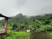  Agricultural Land for Sale in Pen, Raigad