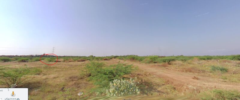  Agricultural Land 1200 Sq.ft. for Sale in Srivilliputhur, Virudhunagar