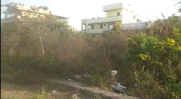  Residential Plot 10920 Sq.ft. for Sale in Gautami Nagar, Mancherial