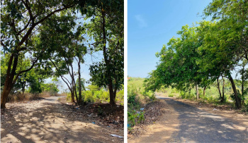  Residential Plot for Sale in Kadamba Plateau, Goa