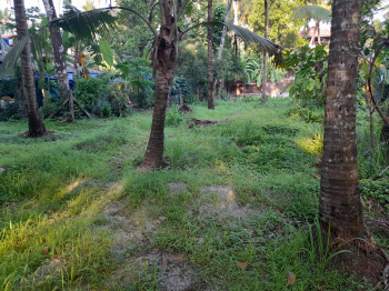  Residential Plot for Sale in Manalur, Thrissur