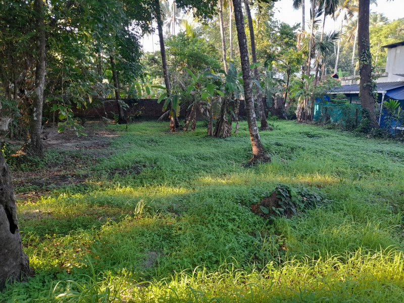  Residential Plot 19 Cent for Sale in Manalur, Thrissur