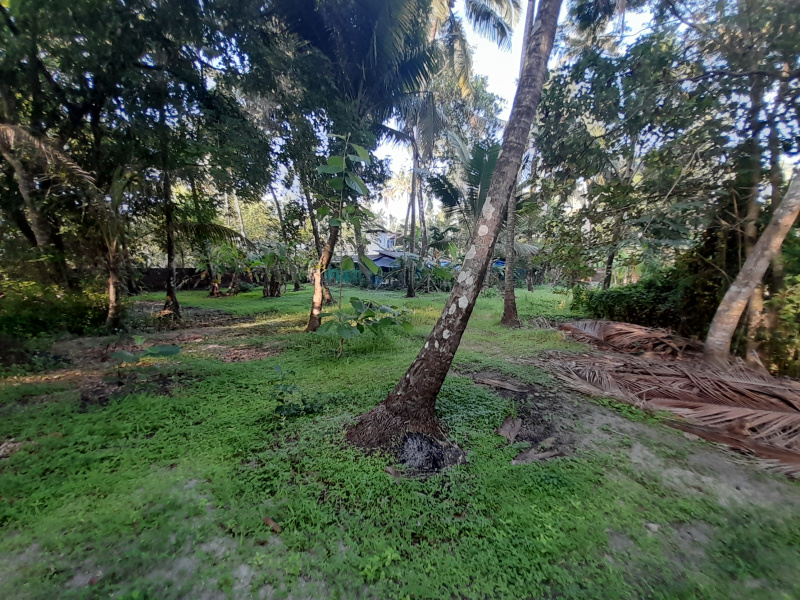  Residential Plot 19 Cent for Sale in Manalur, Thrissur