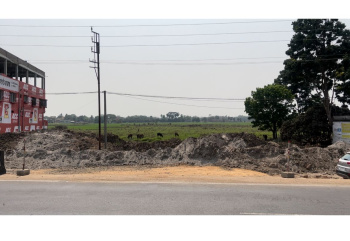  Agricultural Land for Sale in Nababhat, Bardhaman