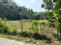  Residential Plot for Sale in Kozhencherry, Pathanamthitta