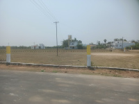  Residential Plot for Sale in Sevvapet, Thiruvallur