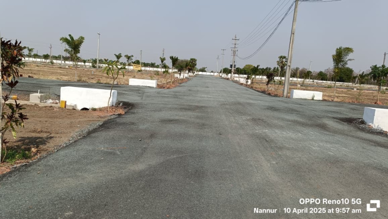  Residential Plot 1500 Sq.ft. for Sale in Nannur, Kurnool