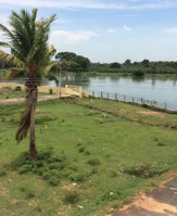  Agricultural Land for Sale in Thiruvaiyaru, Thanjavur