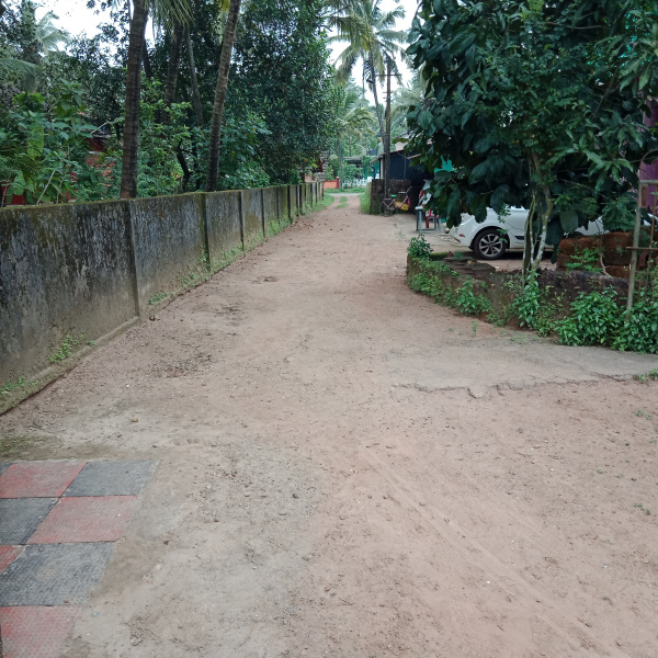  Residential Plot 1963 Sq. Meter for Sale in Cansaulim, Goa