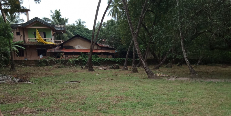  Residential Plot 1963 Sq. Meter for Sale in Cansaulim, Goa