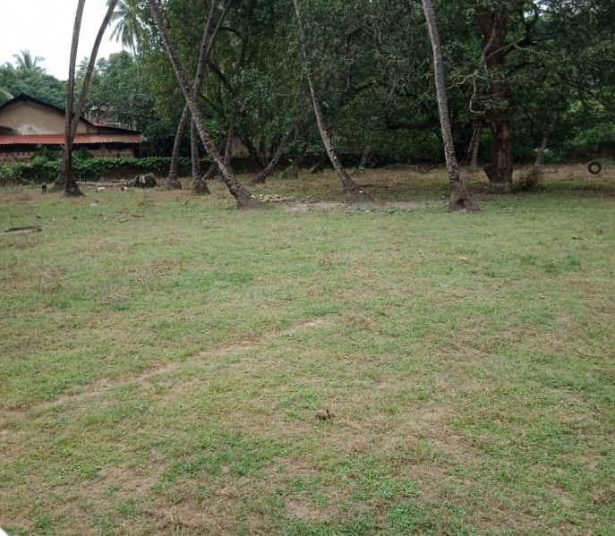  Residential Plot 1963 Sq. Meter for Sale in Cansaulim, Goa