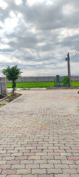  1000 Sq.ft. Residential Plot for Sale in Ahmamau, Lucknow