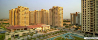 2 BHK Flat for Sale in Thara, Bhiwadi
