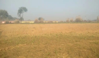  Residential Plot for Sale in Jhalwa, Allahabad