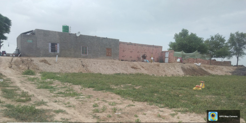  Agricultural Land 14 Bigha for Sale in Nohar, Hanumangarh