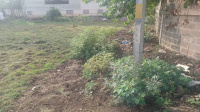  Residential Plot for Sale in Jaysingpur, Kolhapur