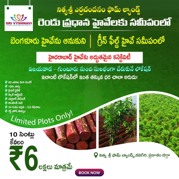  10 Cent Residential Plot for Sale in Cs Puram, Prakasam