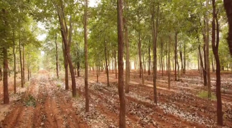  10 Cent Residential Plot for Sale in Cs Puram, Prakasam