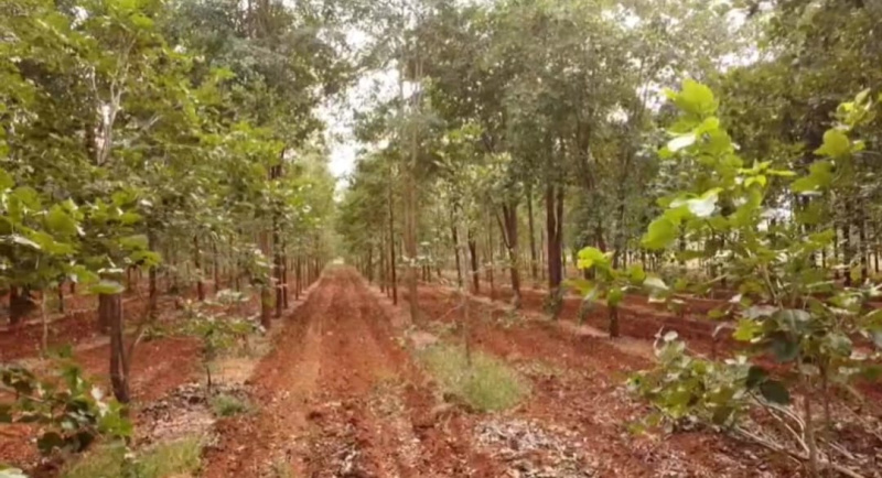  10 Cent Residential Plot for Sale in Cs Puram, Prakasam