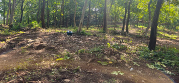  Agricultural Land for Sale in Wada, Thane