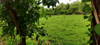  Industrial Land for Sale in Wada, Thane