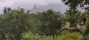 Agricultural Land for Sale in Murbad, Thane