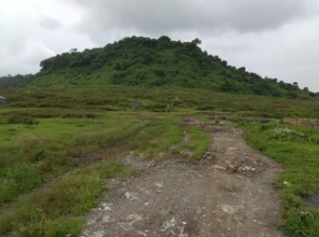  Agricultural Land for Sale in Pushpak Nagar, Navi Mumbai