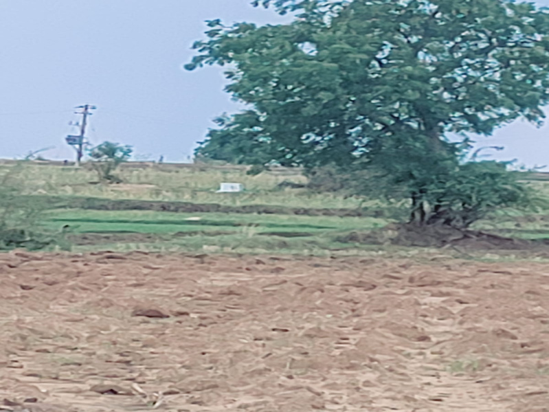  Residential Plot 3 Ares for Sale in Shankarampet, Medak