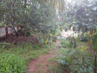  Residential Plot for Sale in Payyannur, Kannur