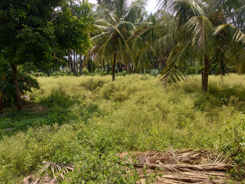  Agricultural Land for Sale in Suramangalam, Salem