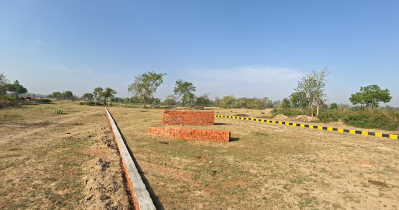  Residential Plot 1250 Sq.ft. for Sale in Gosaiganj, Lucknow