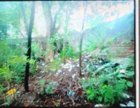  Commercial Land for Sale in Chhota Gobindpur, Jamshedpur